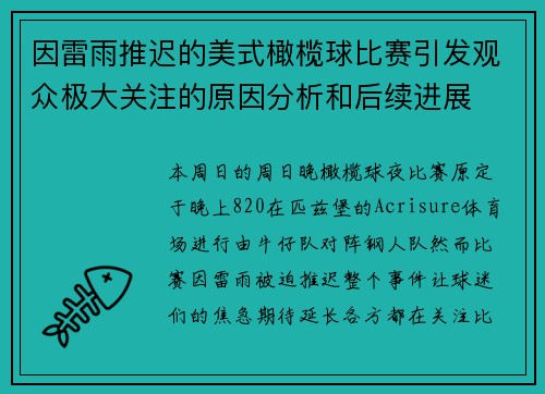 因雷雨推迟的美式橄榄球比赛引发观众极大关注的原因分析和后续进展